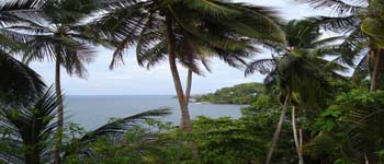 Vue du terrain de 2.5 has de bocas del toro, Panama